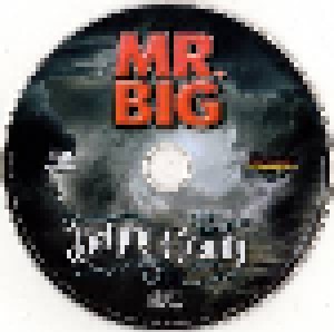 Mr. Big: Defying Gravity (CD) - Bild 3