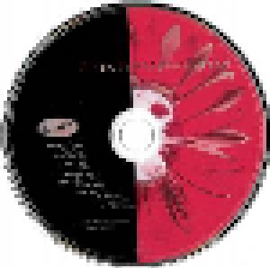 Dave Matthews Band: Crash (CD) - Bild 3