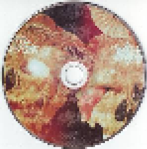 Carnal Diafragma + Fecalizer: Grind Monsters (Split-CD) - Bild 3