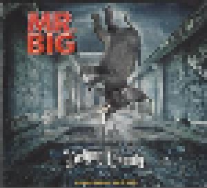 Mr. Big: Defying Gravity (CD + DVD) - Bild 1