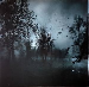 Alice Cooper: Paranormal (2-12" + CD) - Bild 3