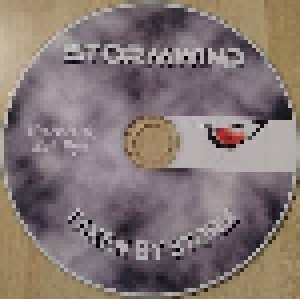 Stormwind: Taken By Storm (CD-R) - Bild 5