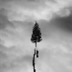 Manchester Orchestra: A Black Mile To The Surface (CD) - Bild 1