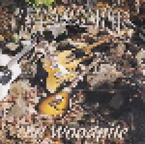Catawompus: The Woodpile (CD) - Bild 1