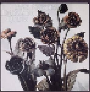 Cover - Heinz Sauer Quartet: Metal Blossoms