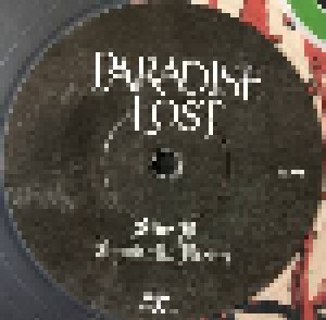 Paradise Lost: Blood And Chaos (7") - Bild 6