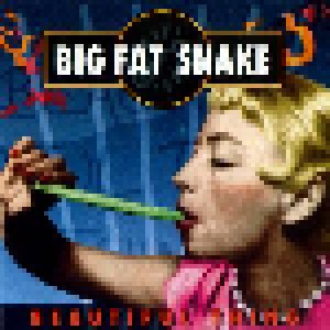 Big Fat Snake: Beautiful Thing (CD) - Bild 1
