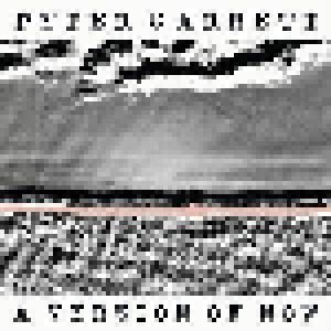 Peter Garrett: A Version Of Now (CD) - Bild 1
