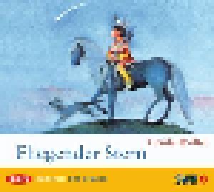 Cover - Ursula Wölfel: Fliegender Stern