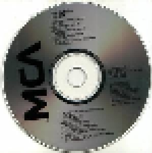 Neil Diamond: Rainbow (CD) - Bild 4