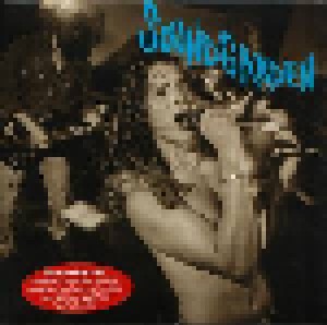 Soundgarden: Screaming Life / Fopp (CD) - Bild 1