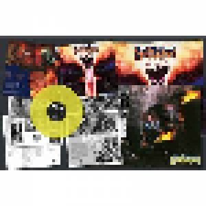 Destruction: Infernal Overkill (LP) - Bild 2