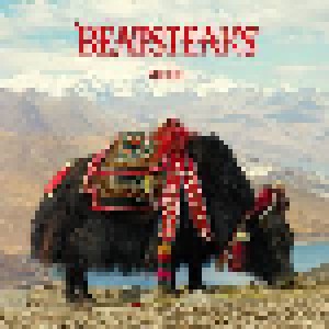 Beatsteaks: Yours (2-LP + CD) - Bild 2