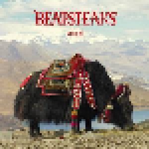 Beatsteaks: Yours (2-LP) - Bild 1