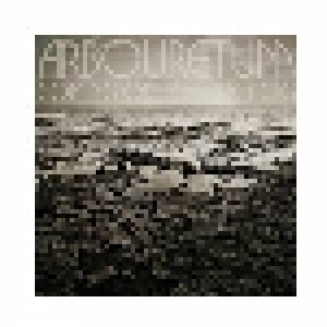 Arbouretum: Coming Out Of The Fog (LP) - Bild 1