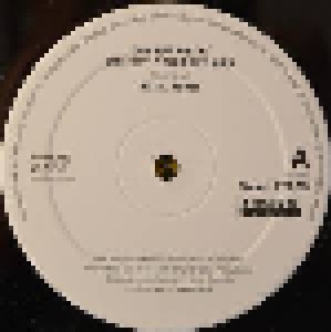 Royal House: Can You Party? - The Royal House Album (12") - Bild 1