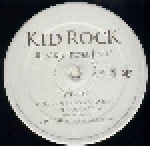 Kid Rock: Rock N Roll Jesus (2-LP) - Bild 8
