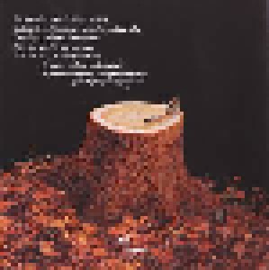 Jethro Tull: Songs From The Wood (CD) - Bild 10