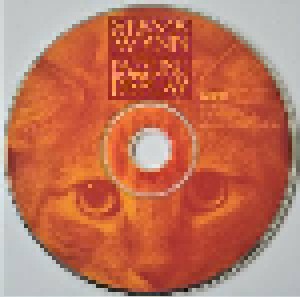 Steve Wynn: Dazzling Display (CD) - Bild 3