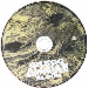Gregg Allman: Southern Blood (CD) - Bild 2