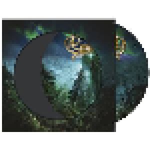 Ensiferum: Two Paths (PIC-LP) - Bild 2