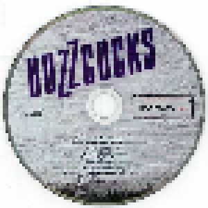 Buzzcocks: The Way (CD) - Bild 2
