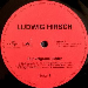 Ludwig Hirsch: Dunkelgraue Lieder (LP) - Bild 5
