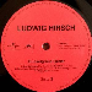 Ludwig Hirsch: Dunkelgraue Lieder (LP) - Bild 6