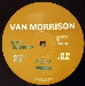 Van Morrison: Roll With The Punches (2-LP) - Bild 6