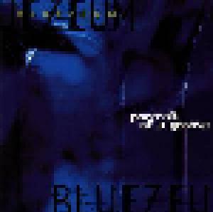 Bluezeum: Portrait Of A Groove - Cover