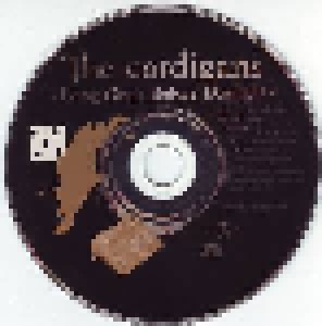 The Cardigans: Long Gone Before Daylight (CD) - Bild 3