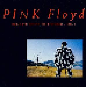 Pink Floyd: Delicate Sound Of Thunder (LP) - Bild 1