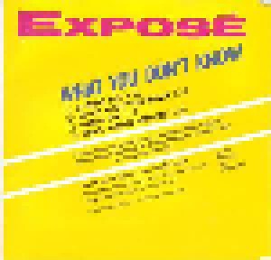 Exposé: What You Don't Know (Single-CD) - Bild 3