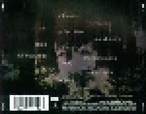 Tori Amos: Native Invader (CD) - Bild 6