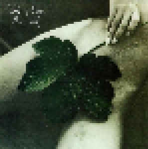East Of Eden: New Leaf (CD) - Bild 1