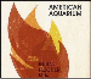 American Aquarium: Burn.Flicker.Die. (LP) - Bild 1