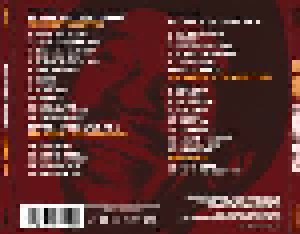 Lee Perry: Dubstrumentals (2-CD) - Bild 2