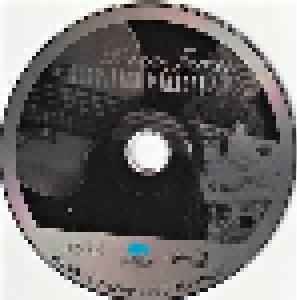 Duane Jarvis: Certified Miracle (CD) - Bild 4