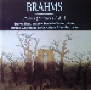 Johannes Brahms: Piano Quartets 1 & 3 (CD) - Bild 1