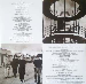 R.E.M.: Automatic For The People (LP) - Bild 6