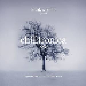 Cover - Antonymes: Chilltronica № 6