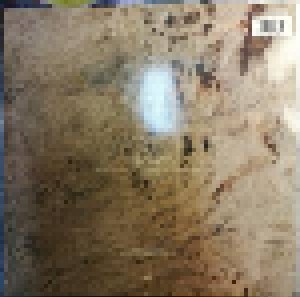 Bonnie Raitt: Nick Of Time (LP) - Bild 2
