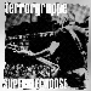Terrorgruppe: Superblechdose (2-LP) - Bild 1
