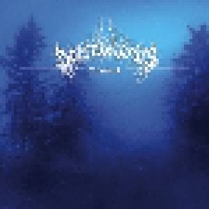 Barrowlands: Tyndir (CD) - Bild 1