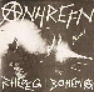 Cover - Anhrefn: Live! Rhedeg I Bohemia