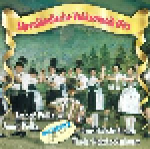  Unbekannt: Alpenländische Volksmusik Hits (CD) - Bild 1