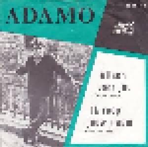 Adamo: Alleen Voor Jou (Amour Perdu) - Cover