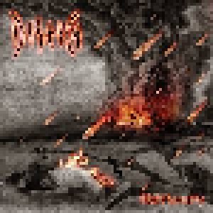 Diseim: Holy Wrath (CD) - Bild 1