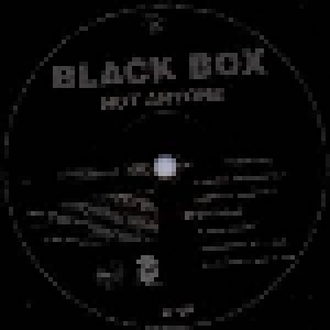 Black Box: Not Anyone (Promo-12") - Bild 1