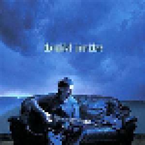 Jimmy LaFave: Blue Nightfall - Cover